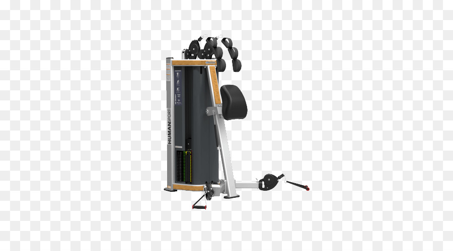 Equipamento De Ginástica，Exercício PNG