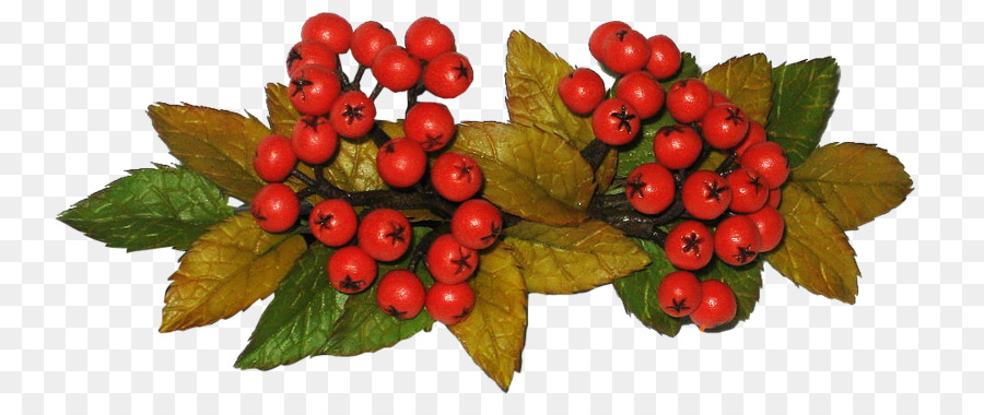 Berry，Mountainash PNG