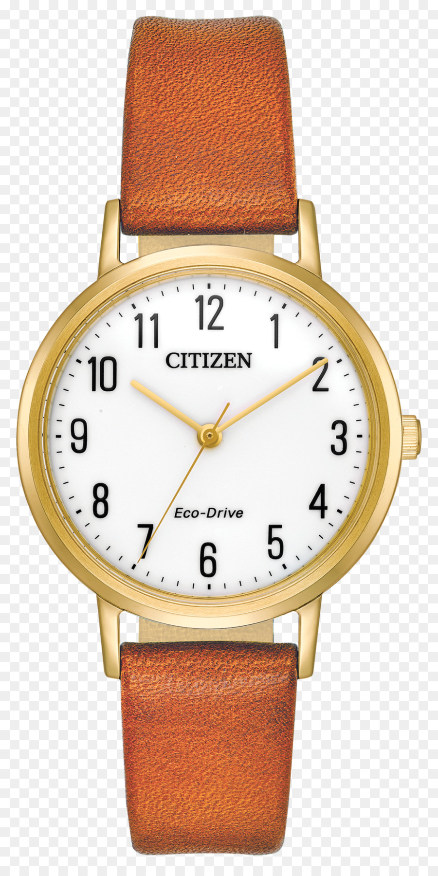 Ecodrive，Citizen Holdings PNG