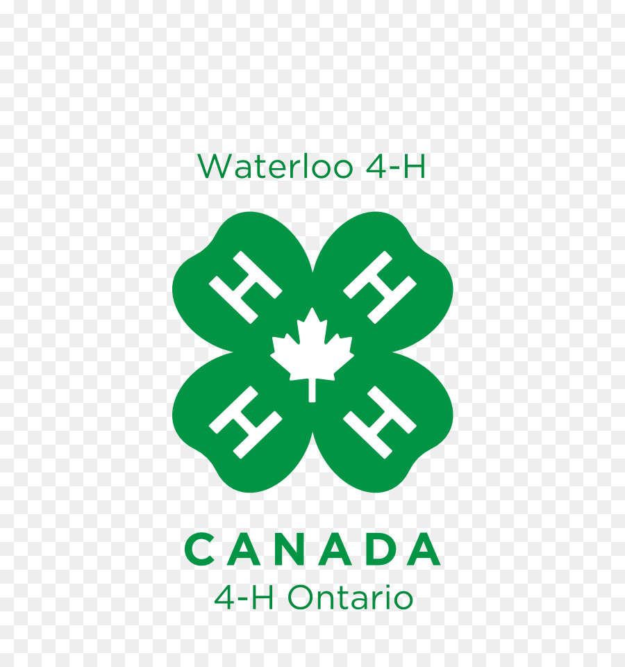 4h Canadá，4h PNG