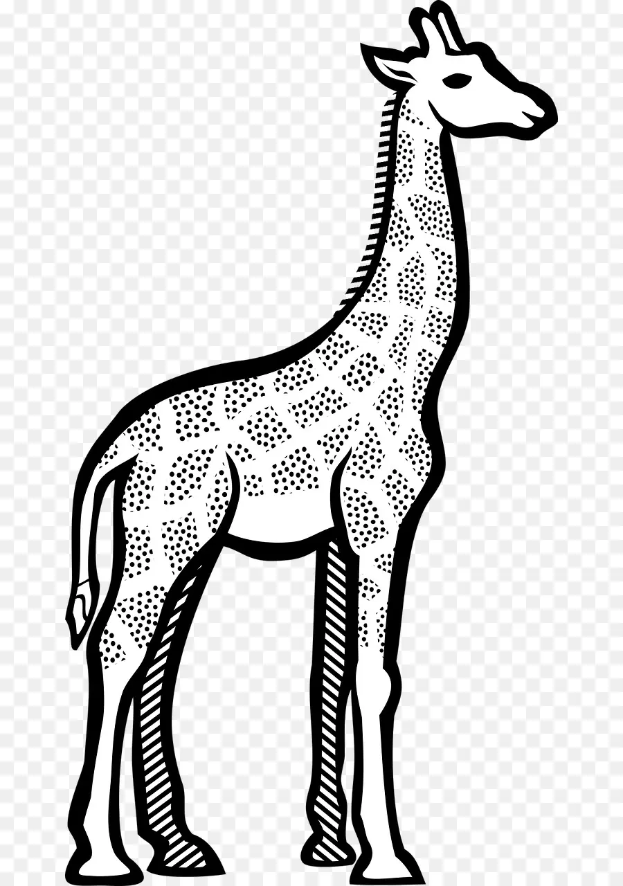 Girafa，Alto PNG