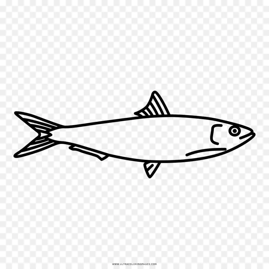 Peixe，Desenho PNG