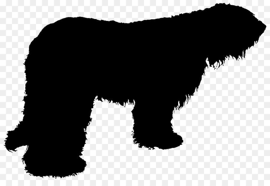 Schnauzer Miniatura，Affenpinscher PNG