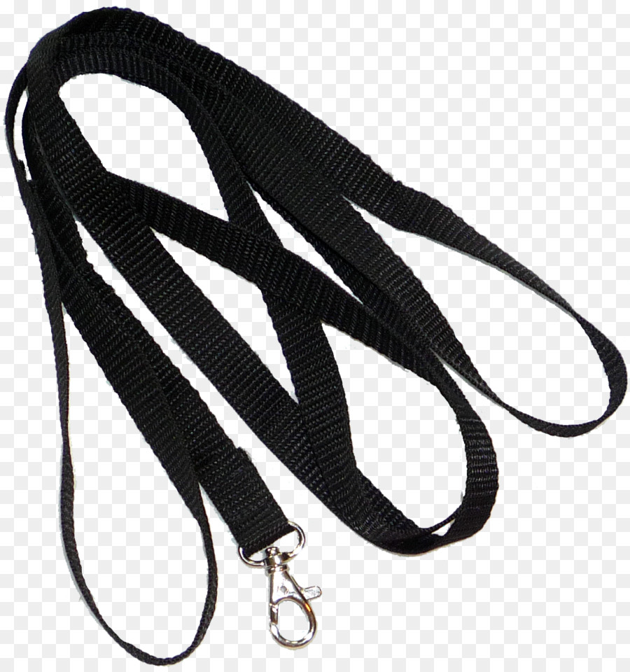 Leash，Gato PNG