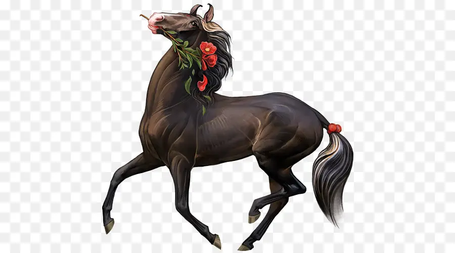 Marwari Cavalo，Garanhão PNG