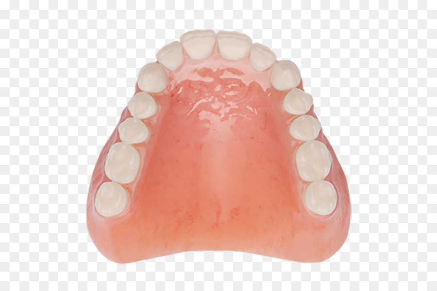 Dentes，Modelo PNG