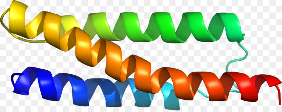 Hélice De Proteína，Molécula PNG