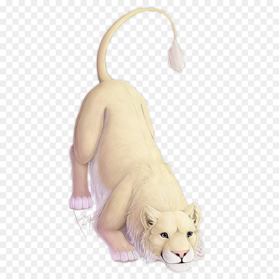 Gato，Cão PNG