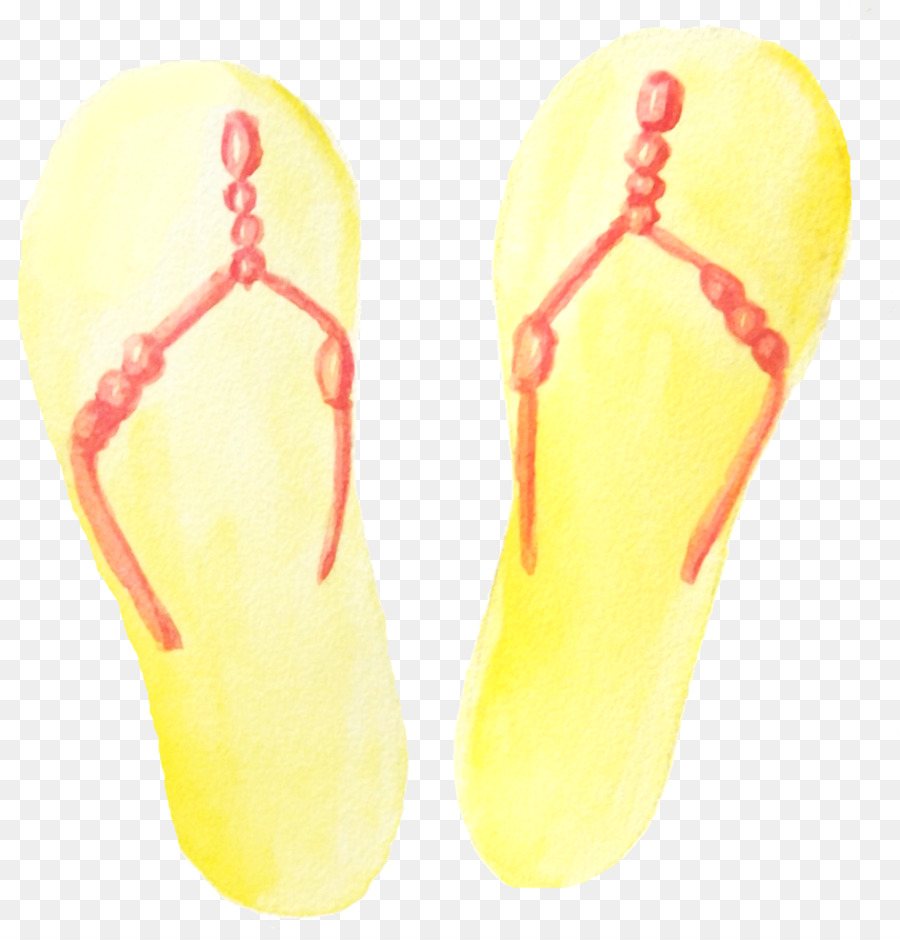 Flip Flops，Chinelo PNG