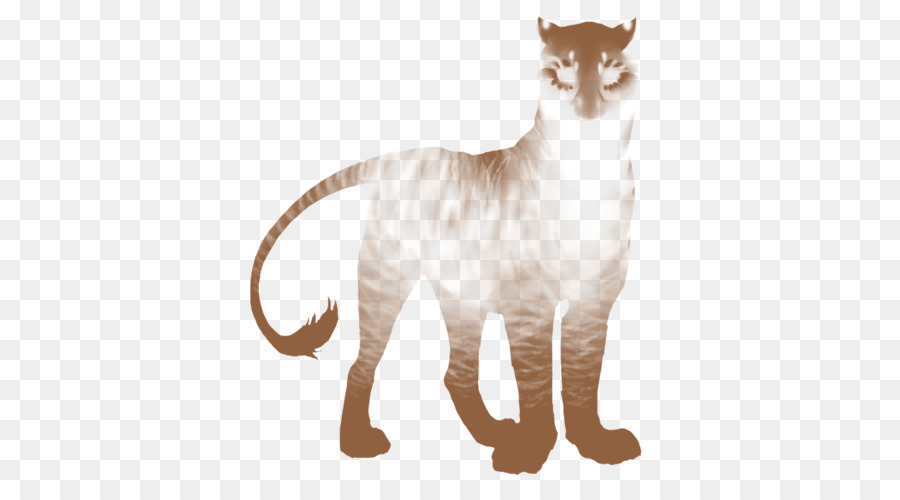 Gato Fantasma，Olhos PNG