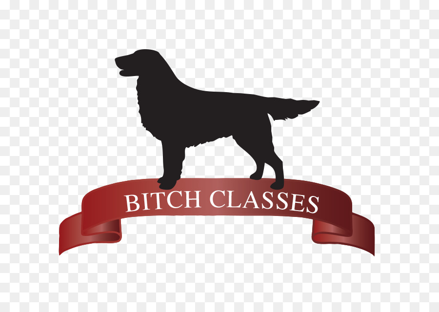 Labrador Retriever，Filhote De Cachorro PNG