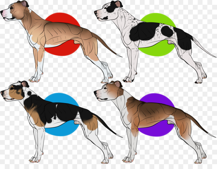 Whippet，Italian Greyhound PNG