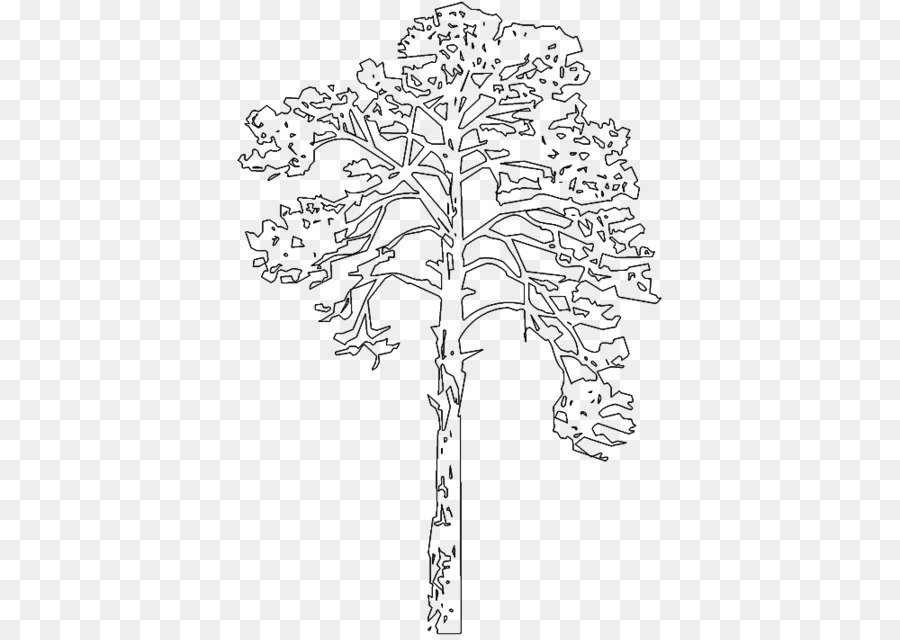 árvore，Elevation3d PNG