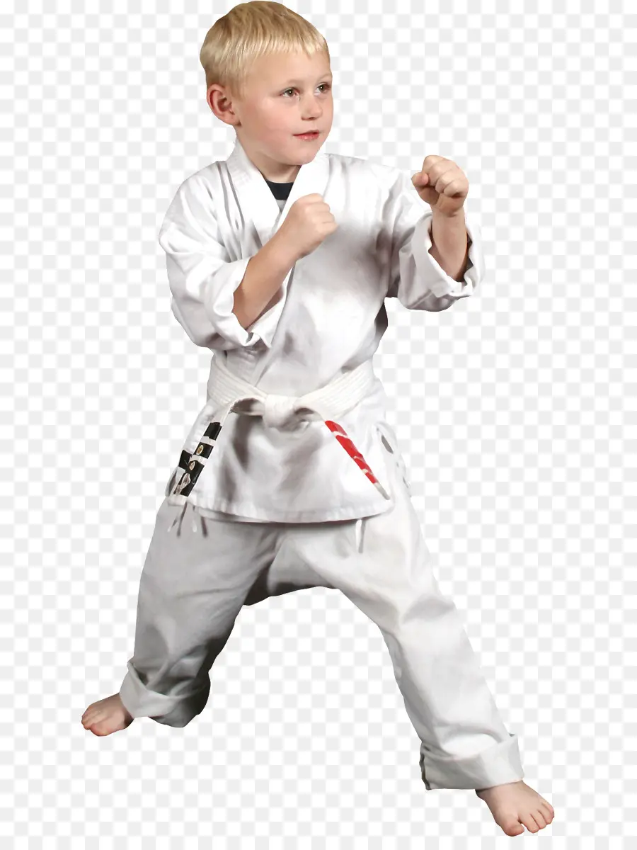 Karate，Karate Kid PNG