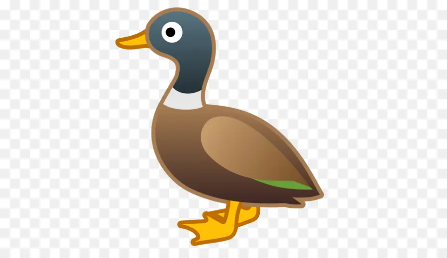 Pato De Desenho Animado，Pássaro PNG