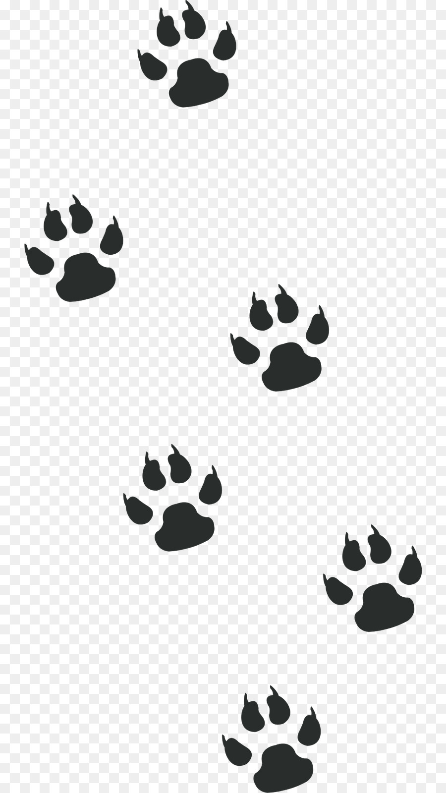 Impressões De Patas，Animal PNG