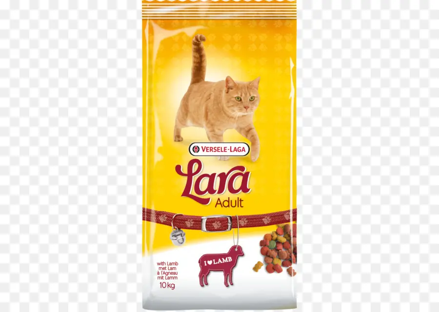 Comida De Gato，Nutrição PNG