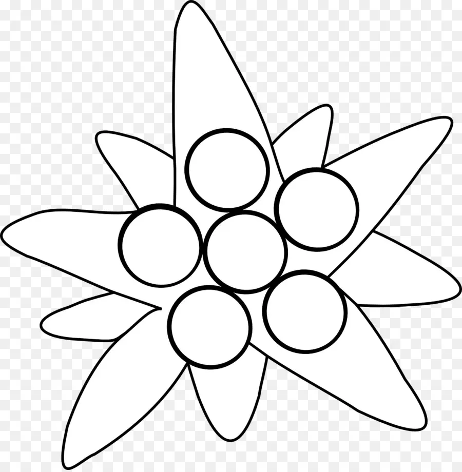 Contorno De Flor，Natureza PNG