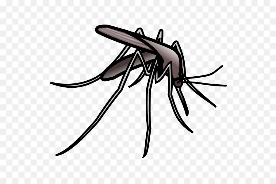 Mosquito，Asas PNG