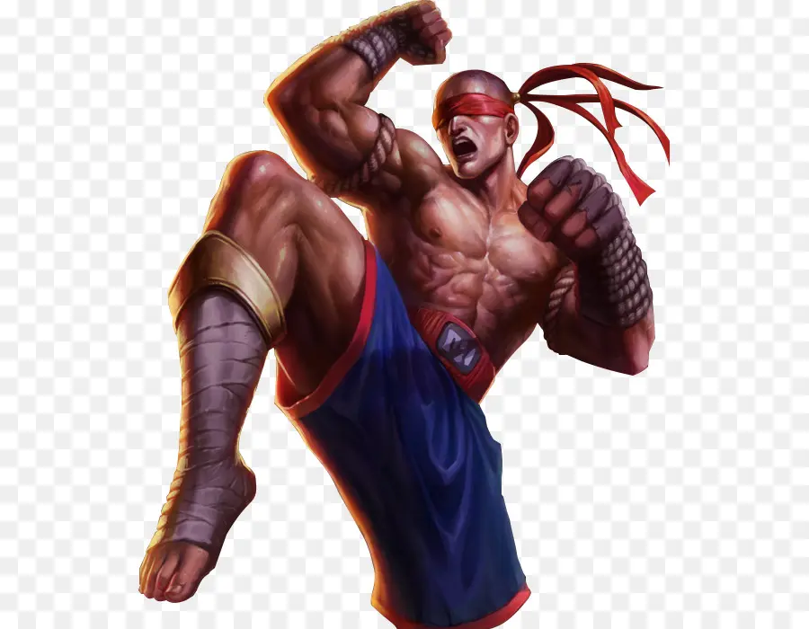 Lutador，Artes Marciais PNG