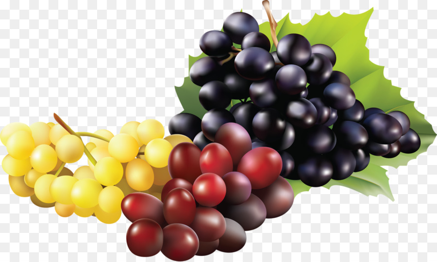 Uvas，Videira PNG