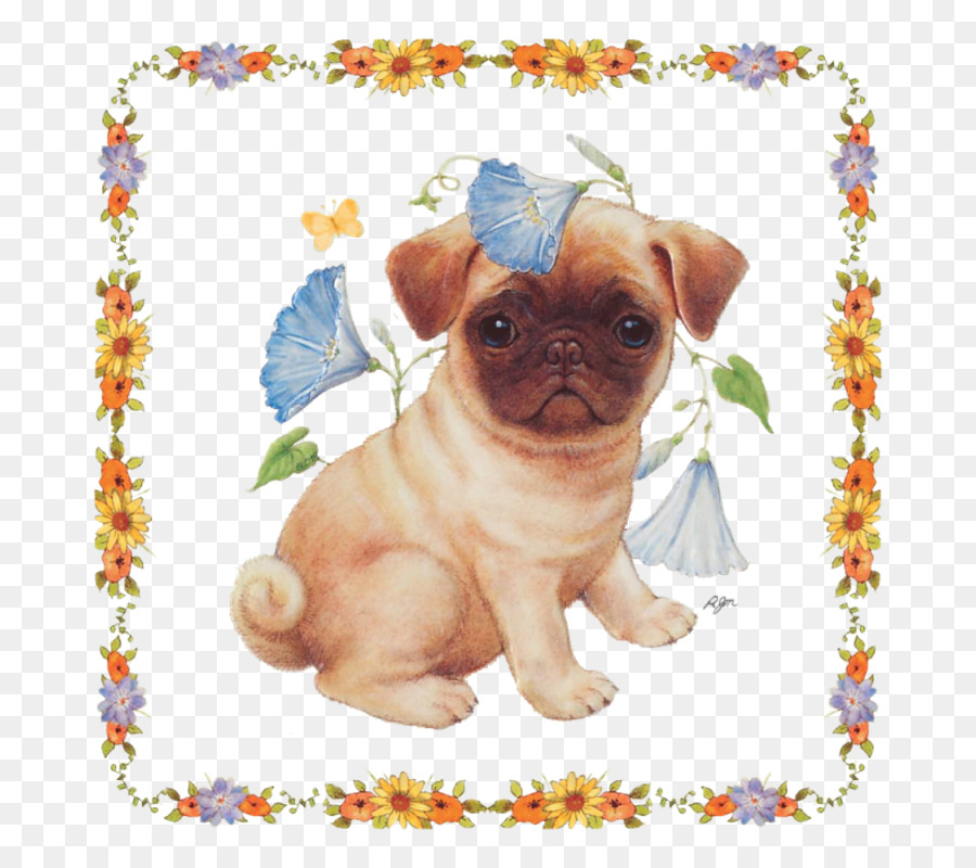 Pug，Cachorro PNG