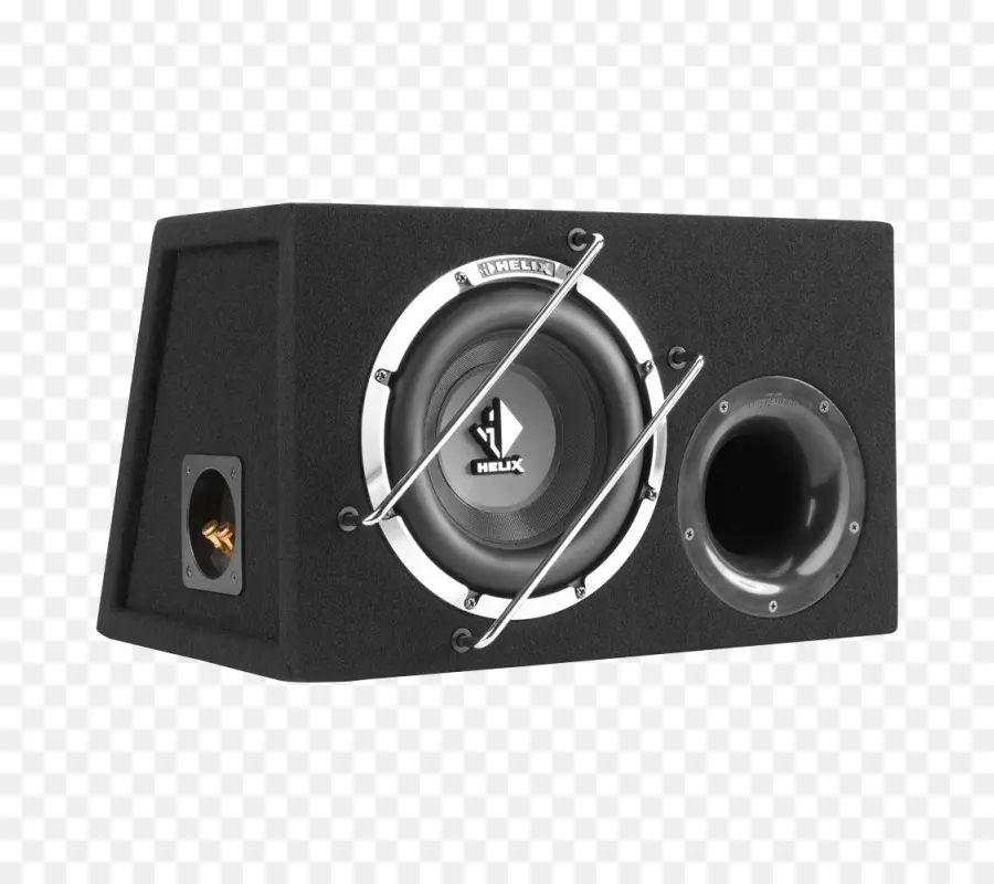 Subwoofer，Palestrante PNG