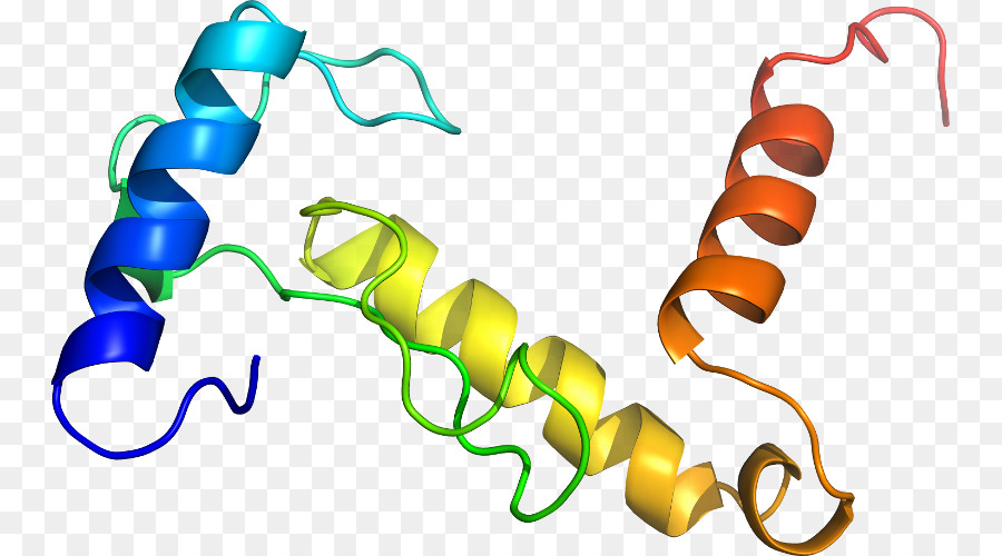 Hélice De Proteína，Molécula PNG