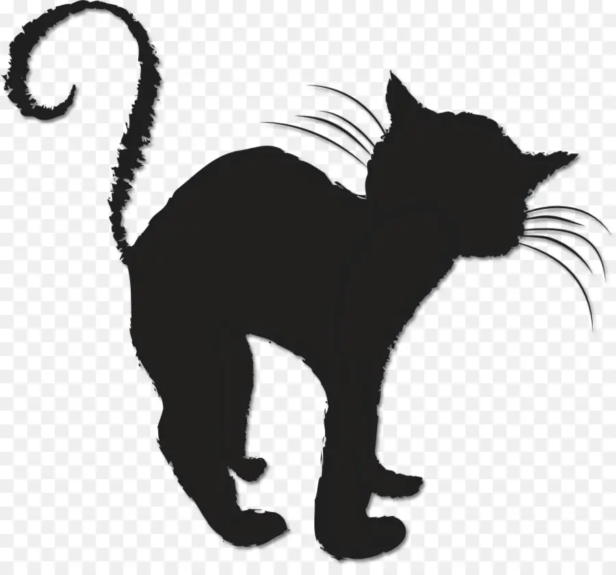 Gato Preto，Silhueta PNG