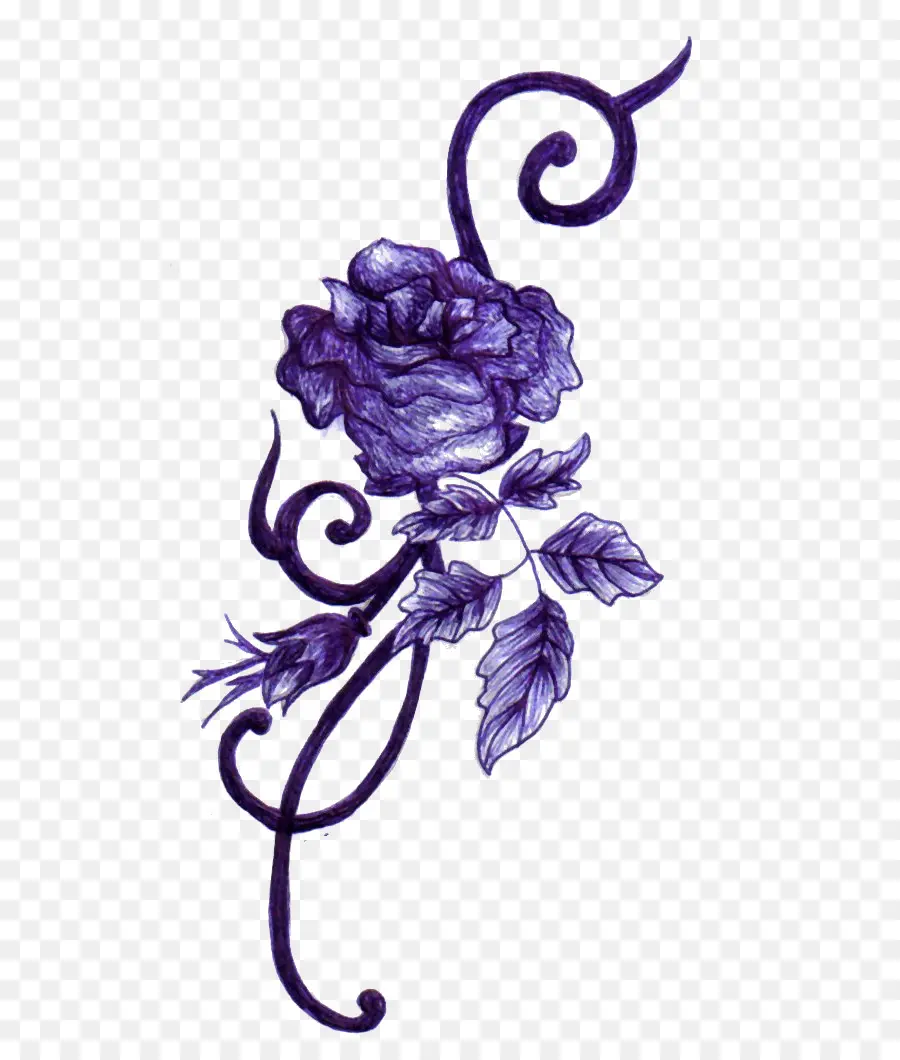 Rosa，Roxo PNG