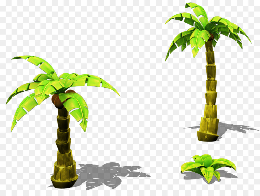 Arecaceae，Folha PNG