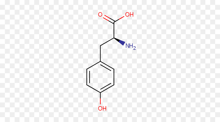 Estrutura Química，Molécula PNG