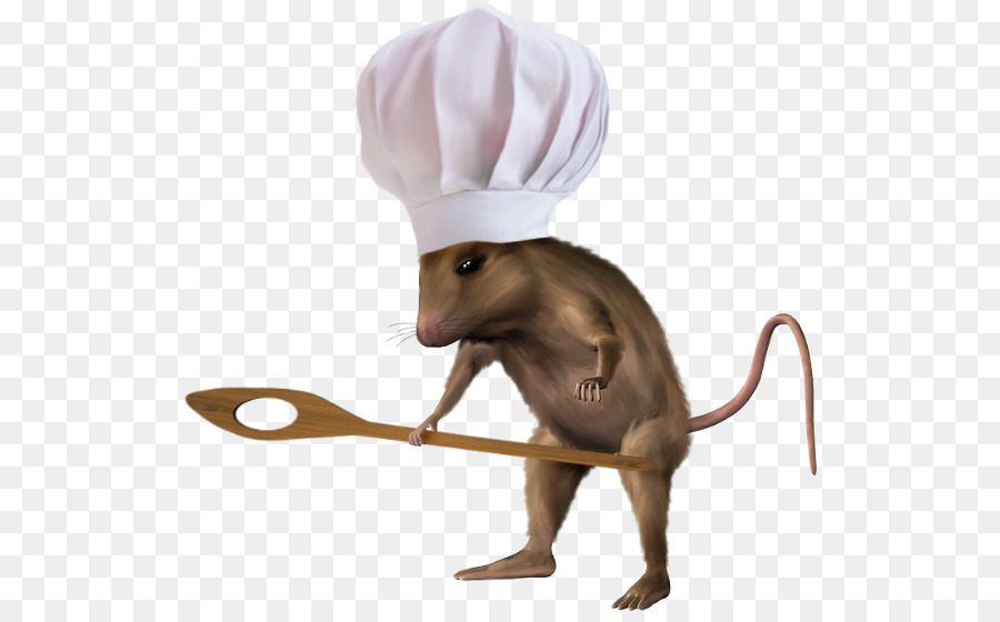 Mouse，Focinho PNG