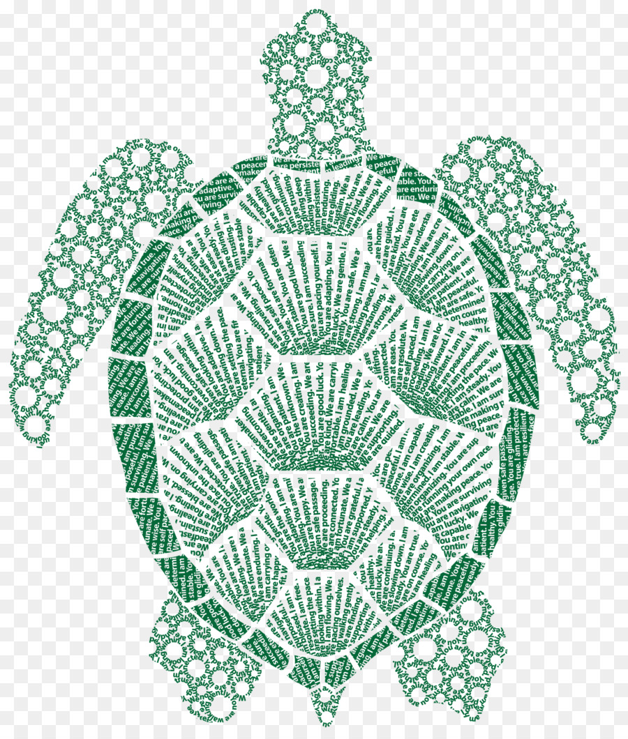 Ilustra O De Tartaruga，Tartaruga PNG