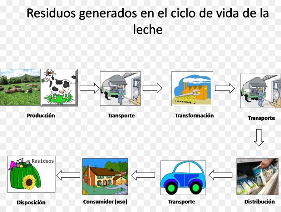 Ciclo De Vida Biológica，A Vida PNG