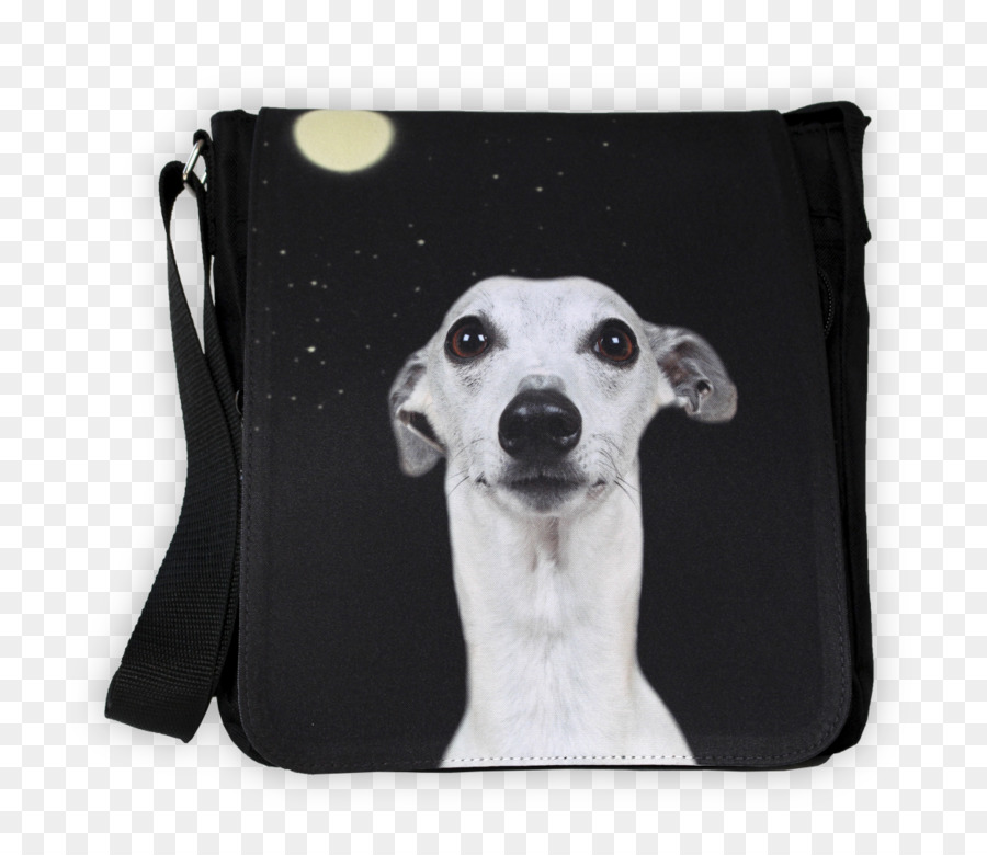 Lurcher，Whippet PNG
