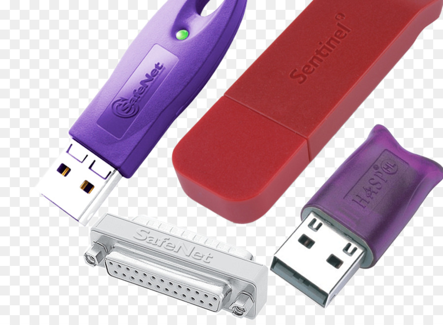 Hasp，De Proteção De Software Do Dongle PNG