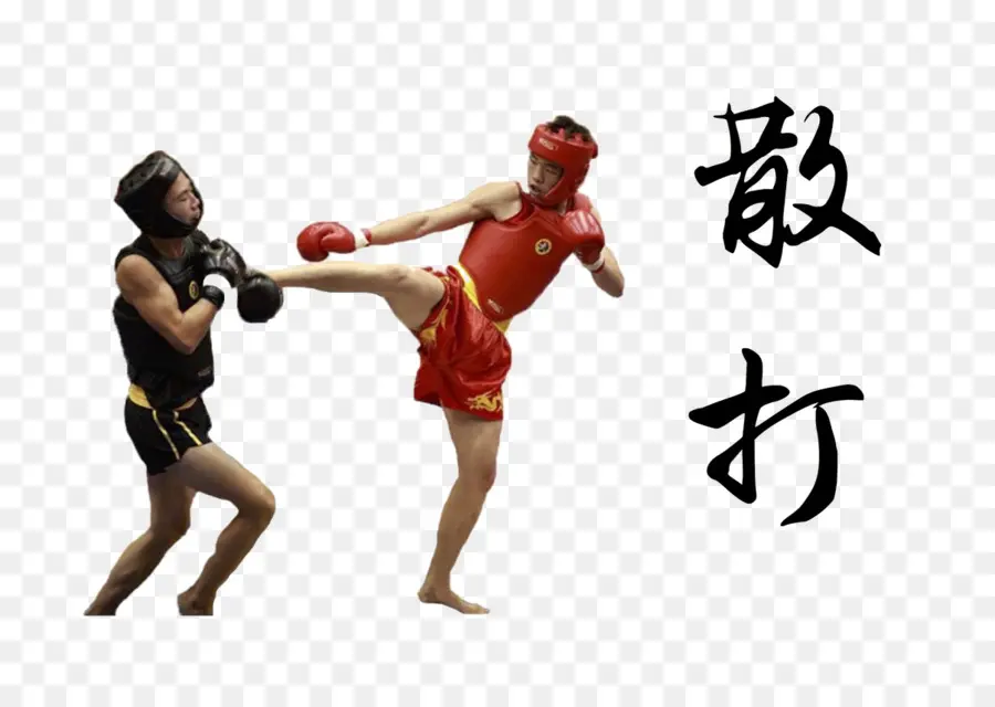 Artes Marciais，Combate PNG