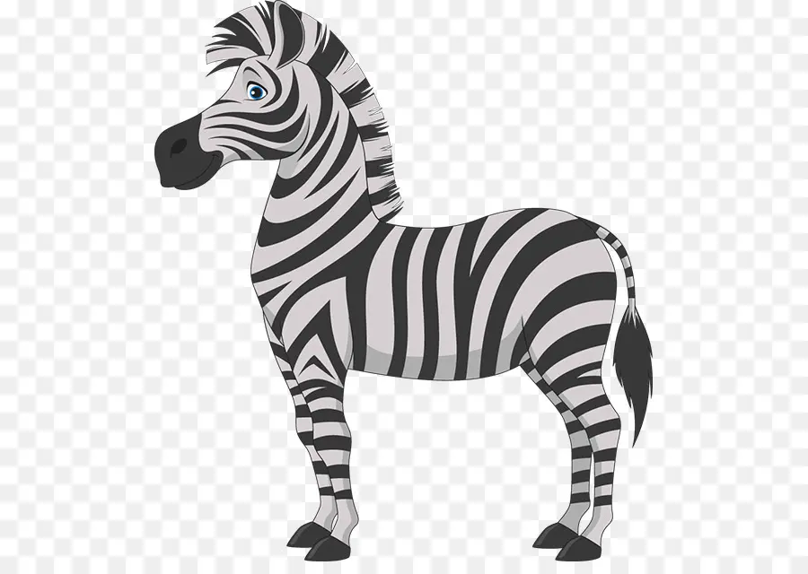 Zebra，Cartoon PNG