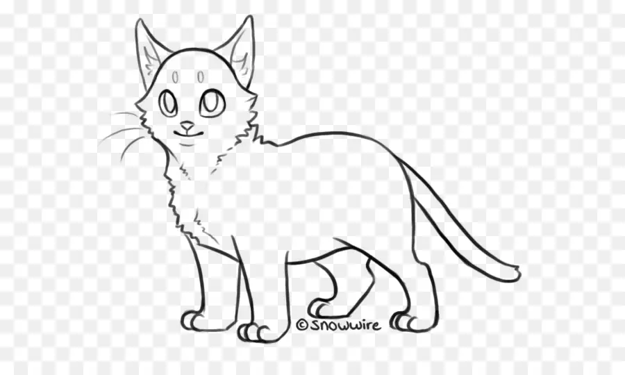 Gato，Felino PNG