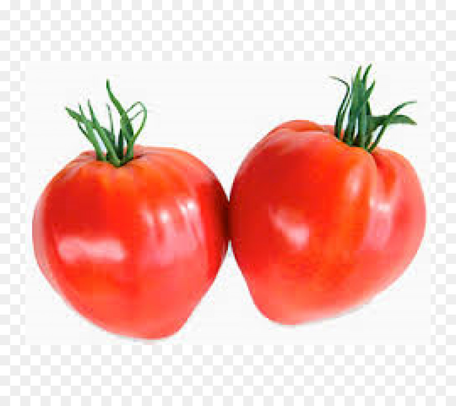 Ameixa Tomate，Bush Tomate PNG