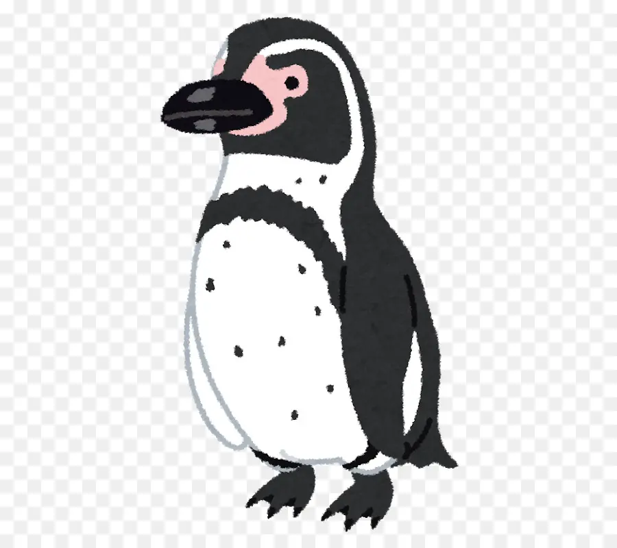 Penguin，Pinguim De Magalhães PNG