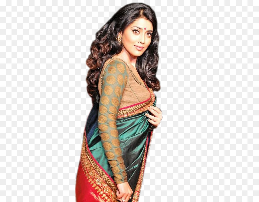 Mulher Em Saree Tradicional，Saree PNG