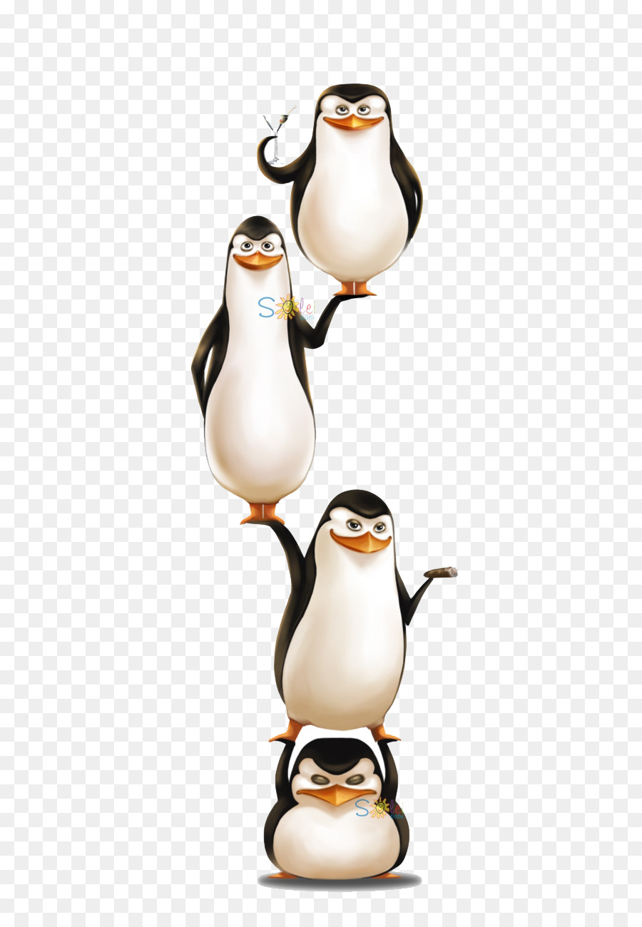 Pinguins，Animação PNG