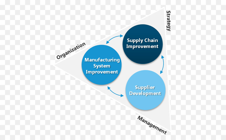 Organização，Cadeia De Suprimentos PNG