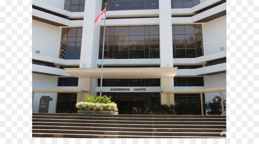 Tribunais Estaduais De Cingapura，Tribunal PNG