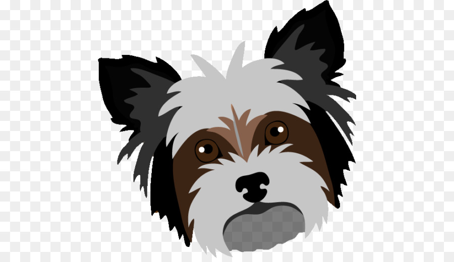 Yorkshire Terrier，Cairn Terrier PNG