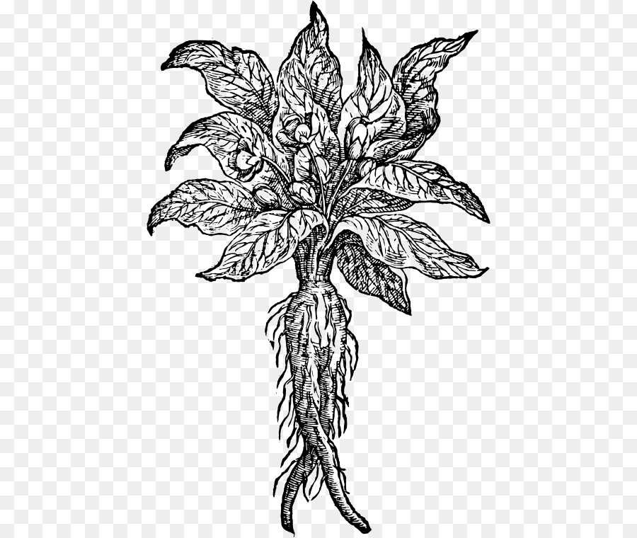 Desenho, Demônio, Mandrake png transparente grátis