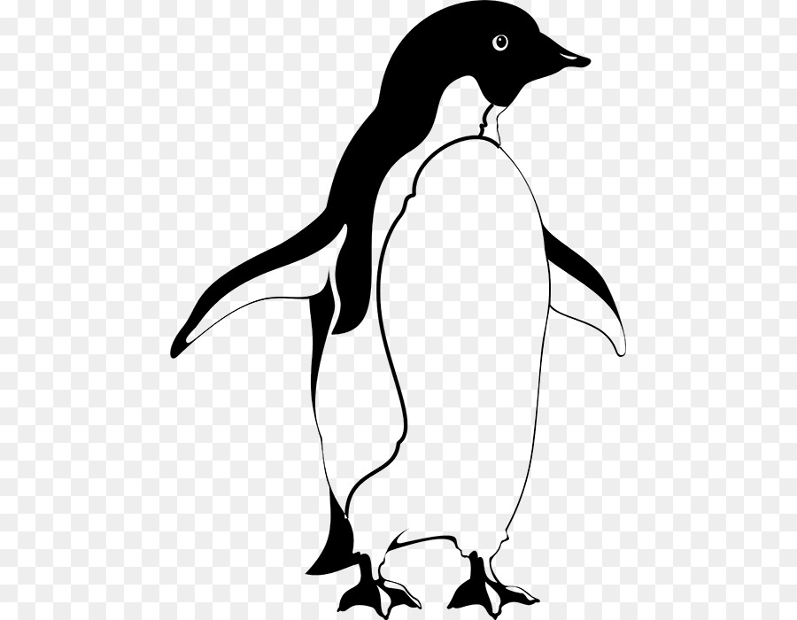 Pinguim，Pássaro PNG