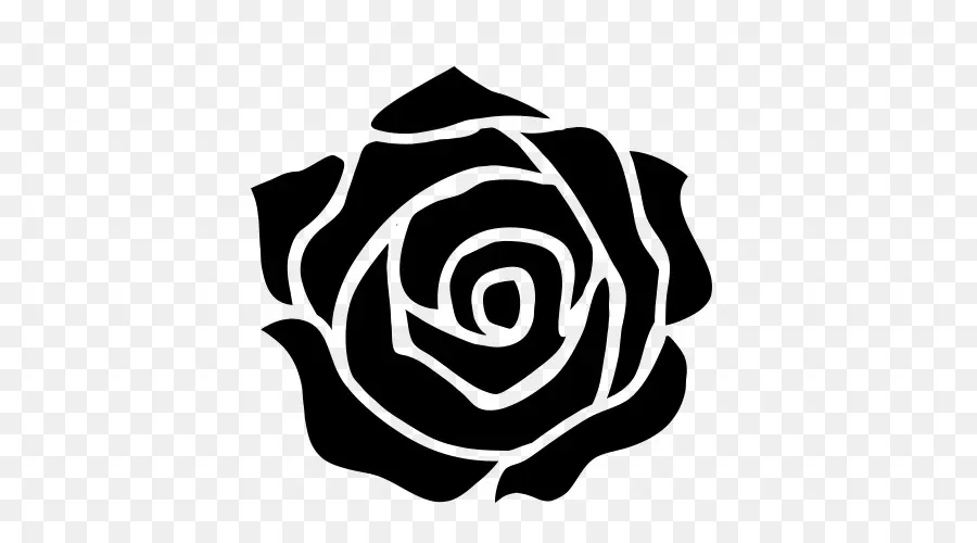 Rosa，Florescer PNG